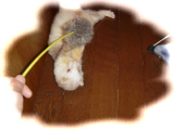 DSC01707.JPG